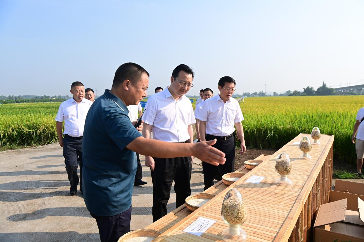 祁美文率隊赴四川眉山考察學習 - 酉陽土家族苗族自治縣人民政府